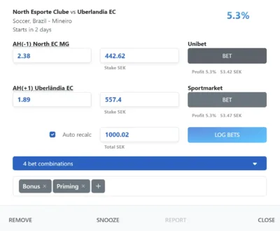 A Selected Bet Card in RebelBetting